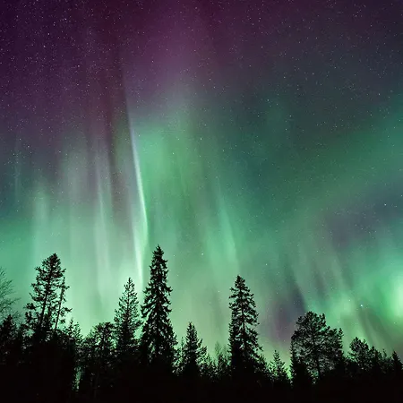 Appartamento Santa's